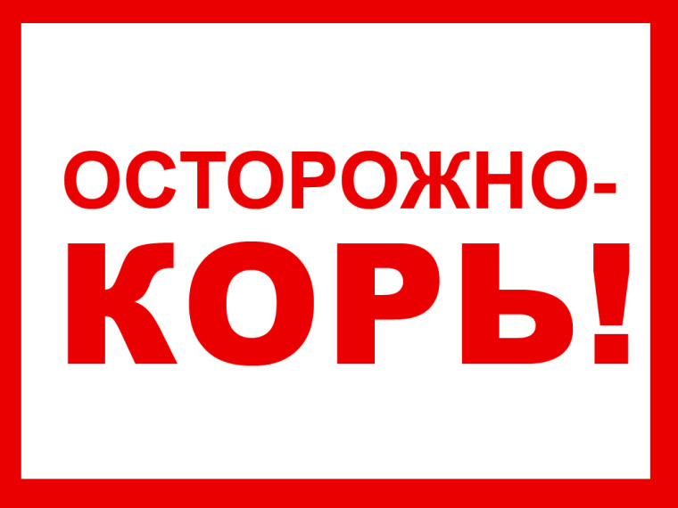 Осторожно - Корь!.